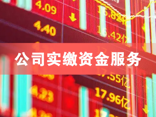贵港公司实缴资金服务
